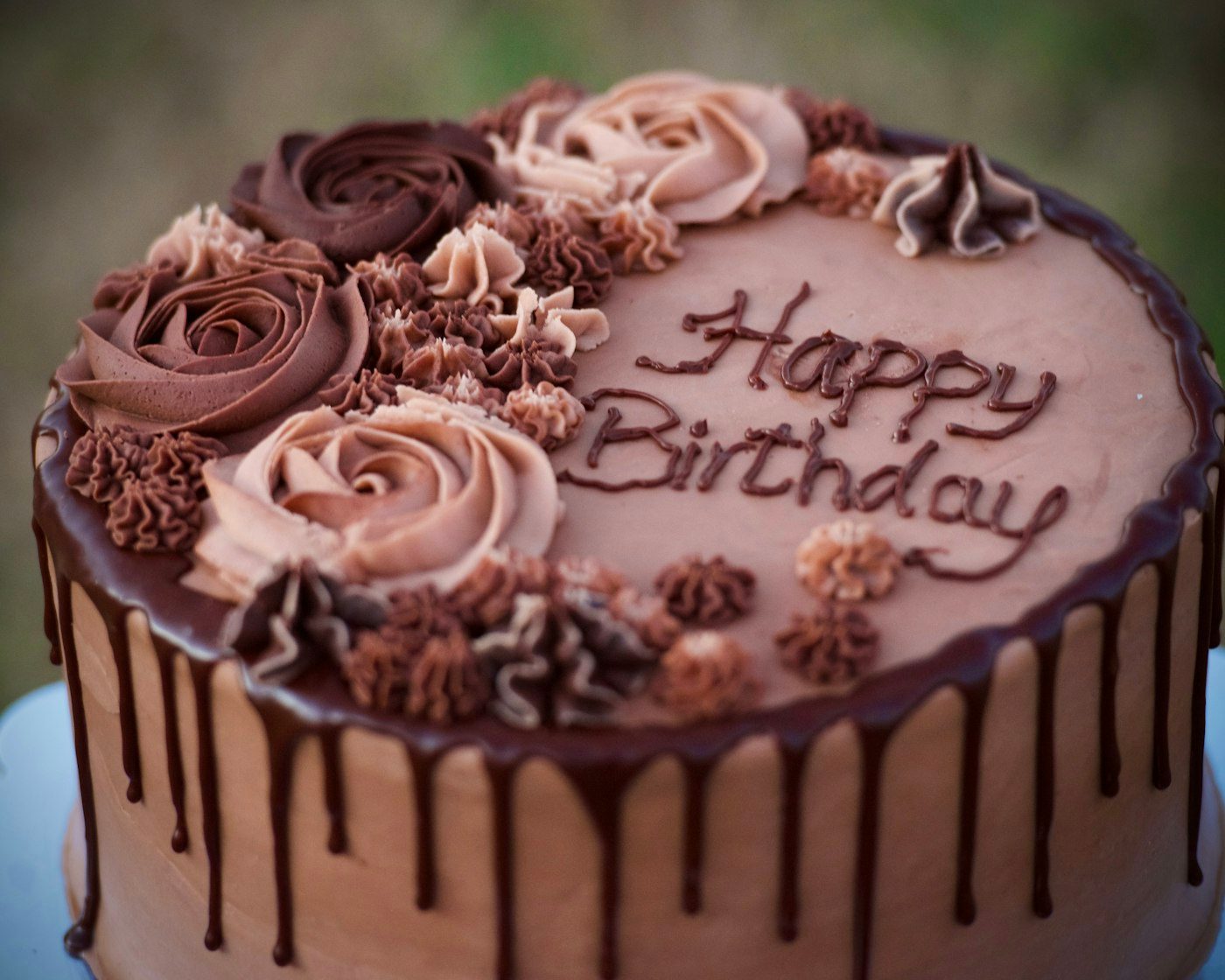 Chocolate sponge cake