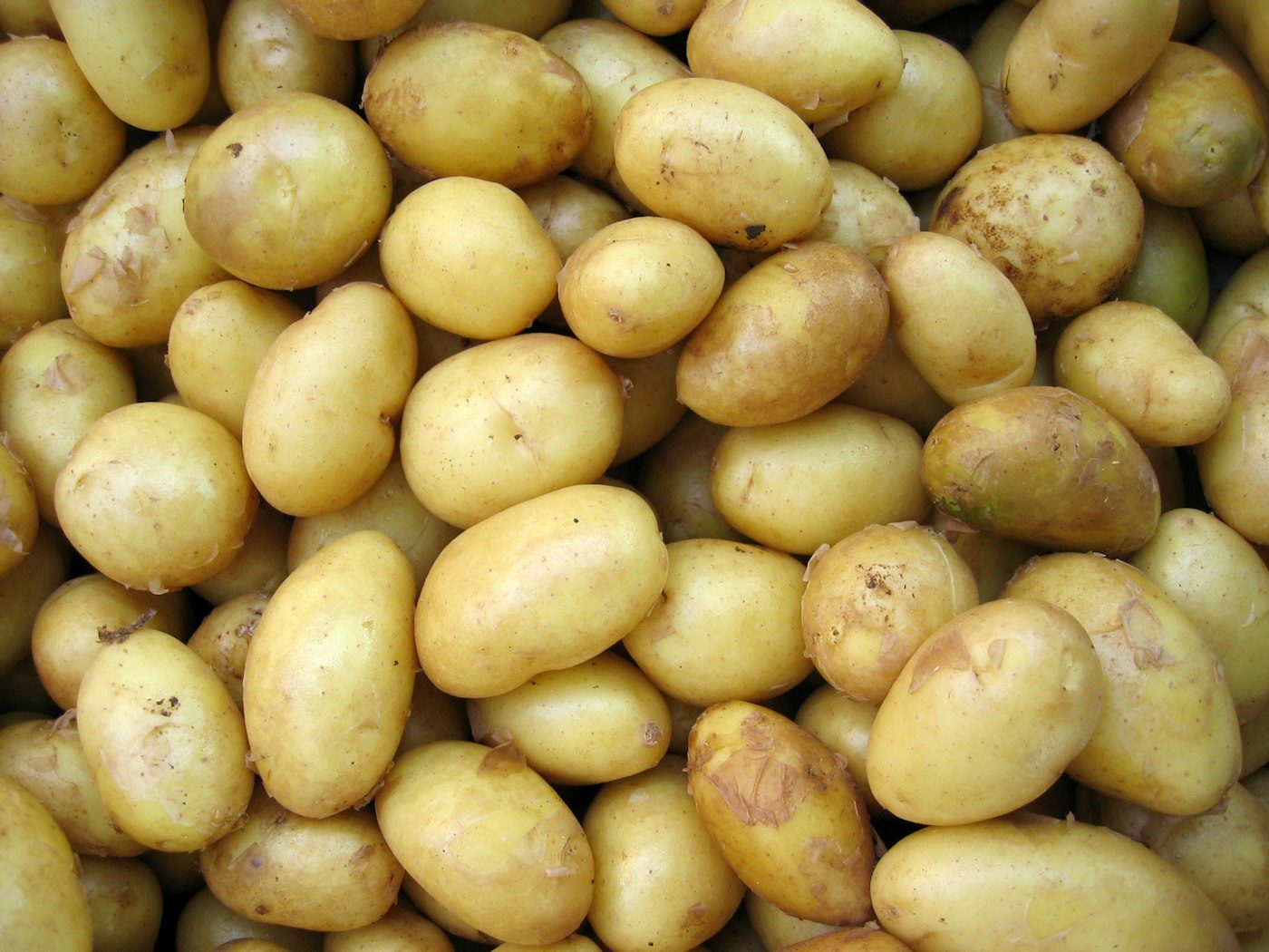 Potato kibbeh
