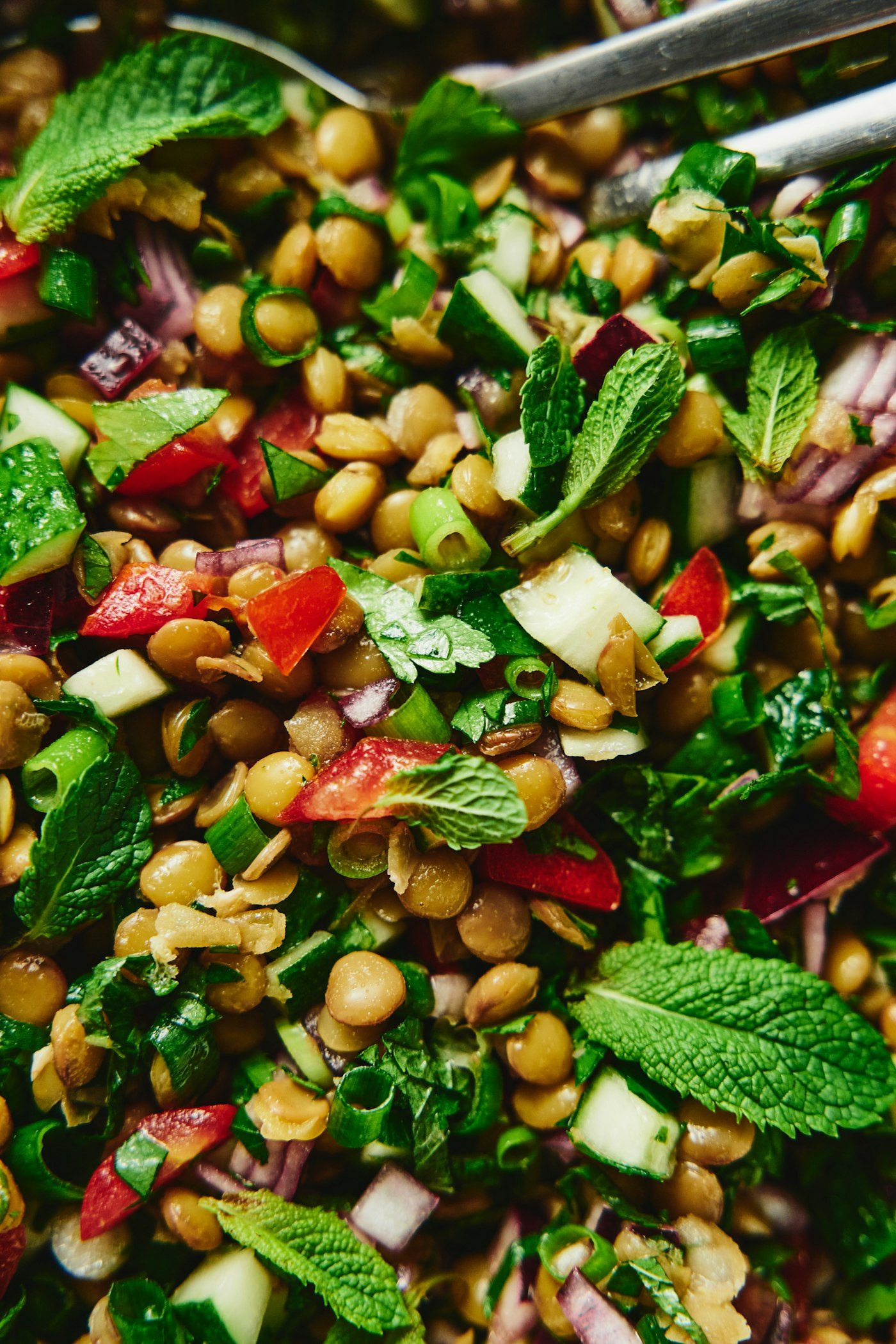 Fattoush Middle Eastern bread salad